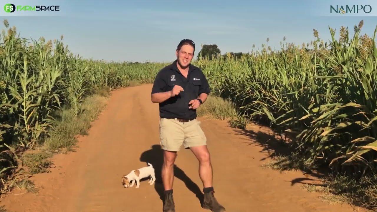 Beplan jou roete by NAMPO 2024!