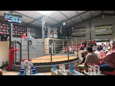 Hurwitz Farming Bull and breeding auction LIVE