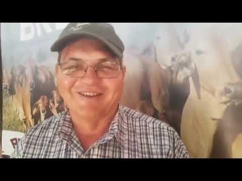 SA Brahman at ALFA Expo 2018.