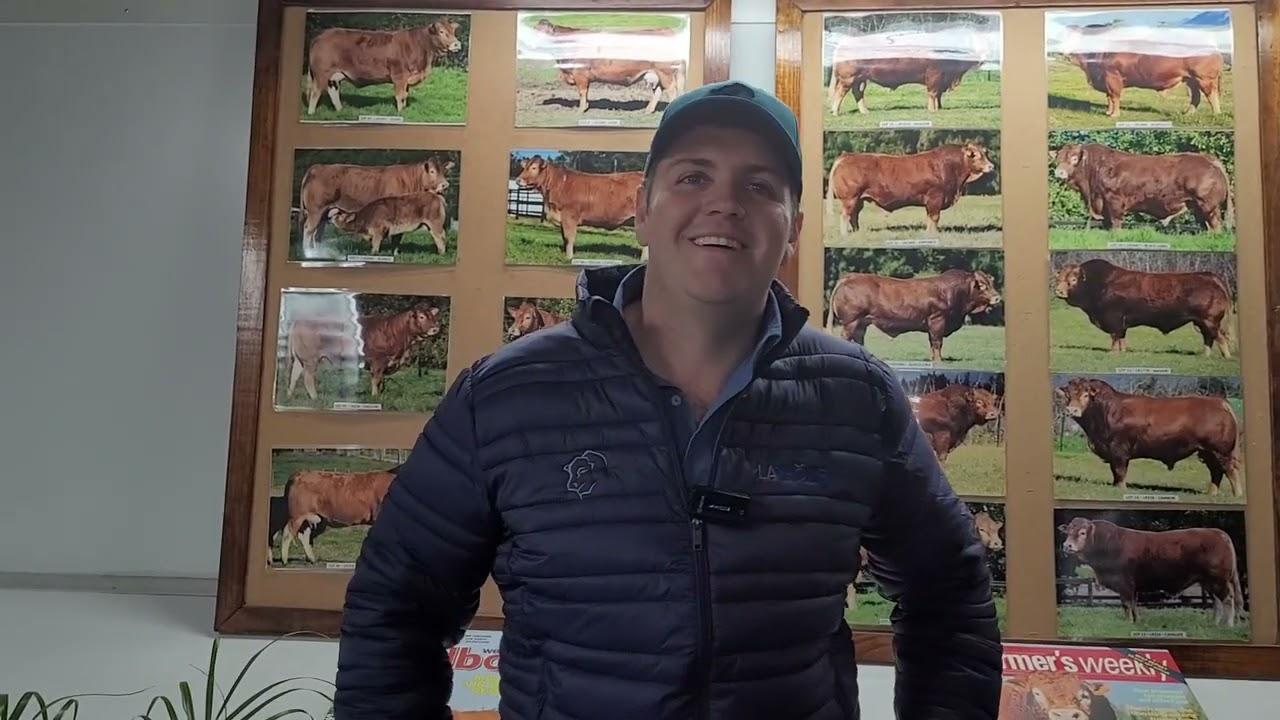 Unlocking Genetics: Interview with AJ du Toit on Enhancing Herd Quality & Bull Selection