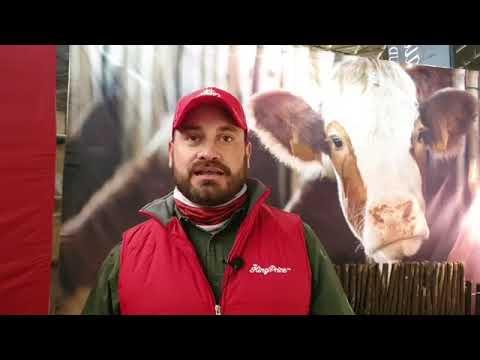 Charl from King Price Insurance tells us what their contribution is.